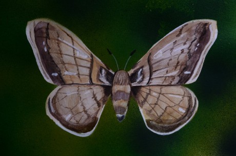 69383321-0923-4d52-8e18-026e8028c257