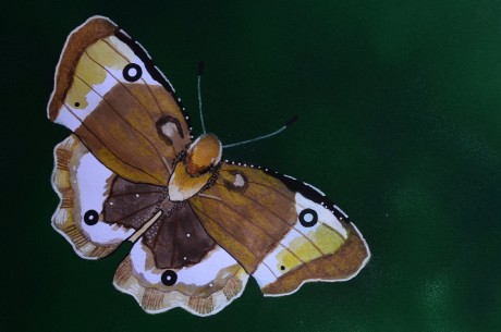 f2d04ef7-86a4-4d82-acdc-805f9e904cf3