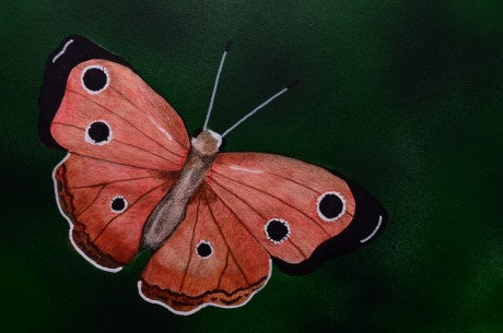 560118113_4273189592966139_3204588021904435294_n