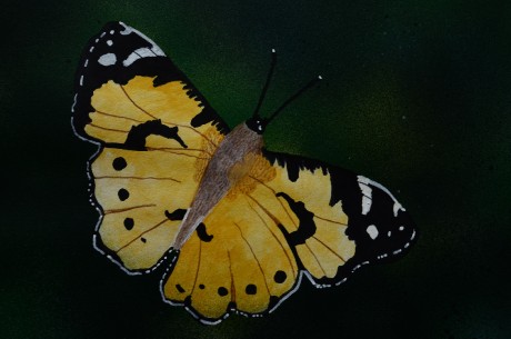 558653941_4273197912965307_8697902674551003028_n