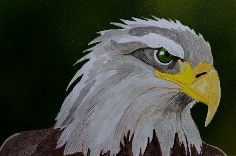 560265371_4277331399218625_5229499050983146954_n