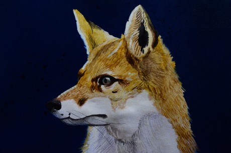 573866824_4296766180608480_7433404756755116931_n