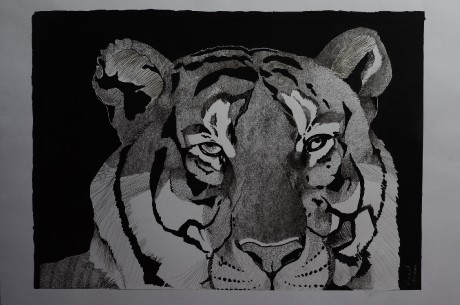 559036915_4297821027169662_5864222669035206087_n