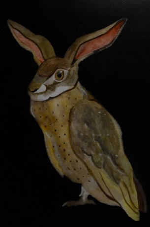 585101155_4312451349039963_8216698609009532520_n