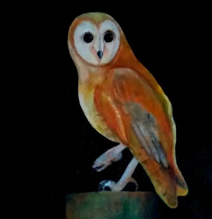 518313872_4178132029138563_8267137583138940305_n