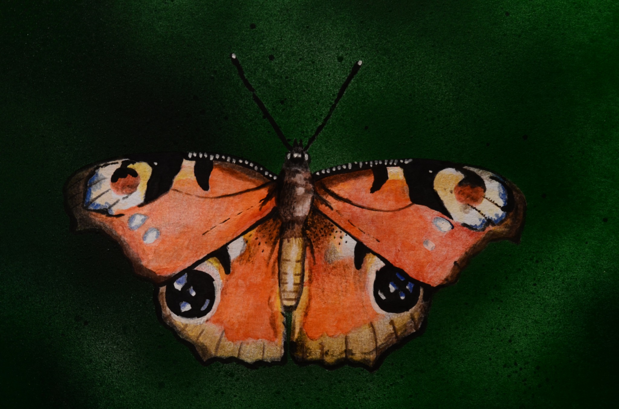 559534129_122188353458431344_7910567347346949967_n