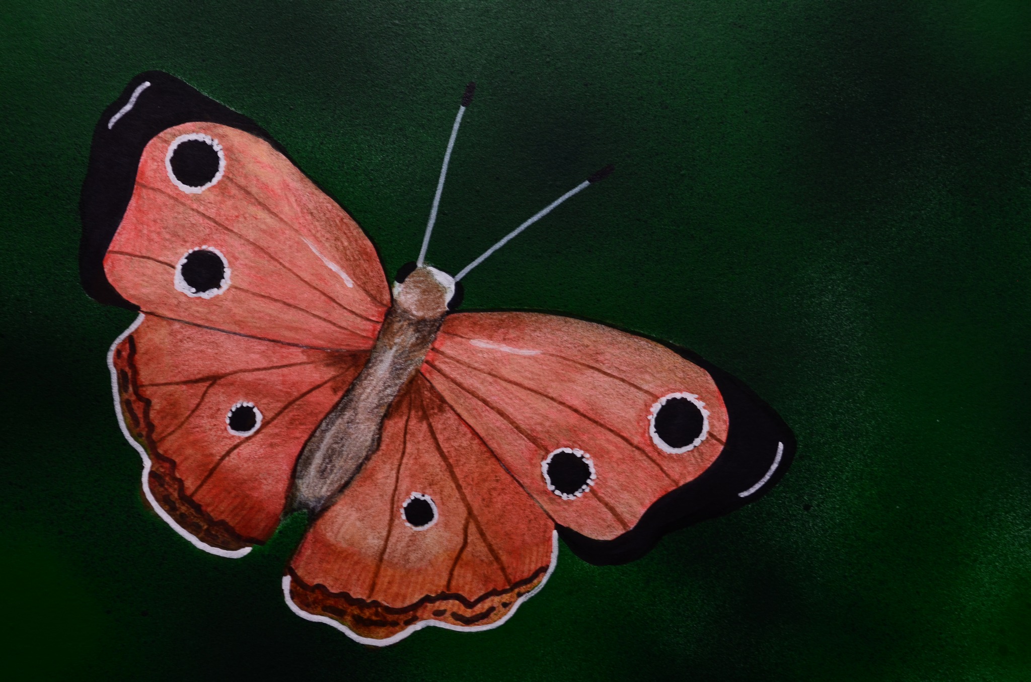 560118113_4273189592966139_3204588021904435294_n