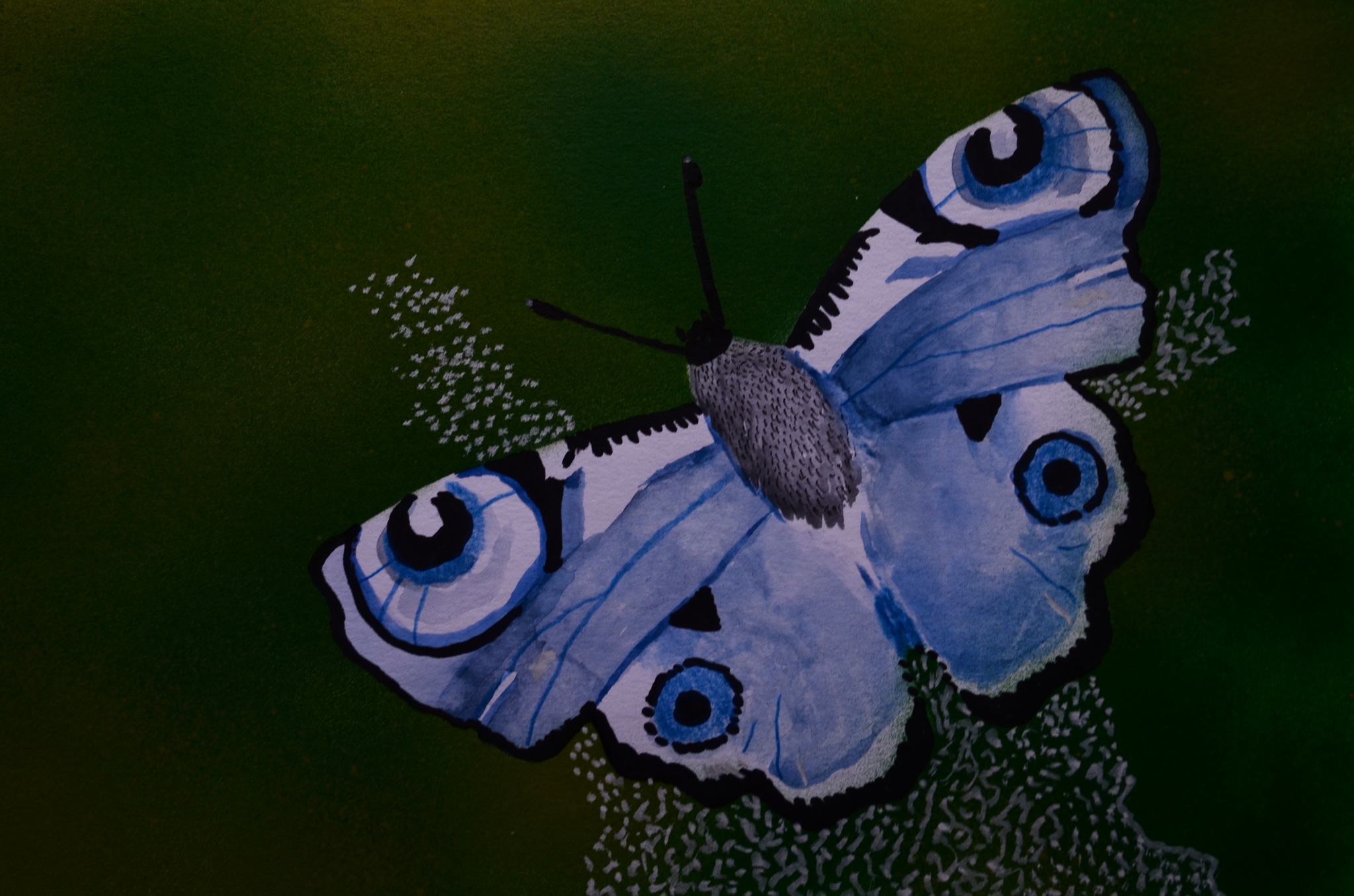 558262039_4273189556299476_7745185278785971339_n