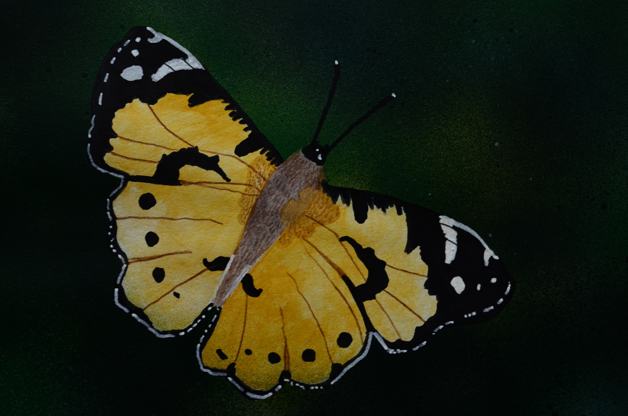 558653941_4273197912965307_8697902674551003028_n