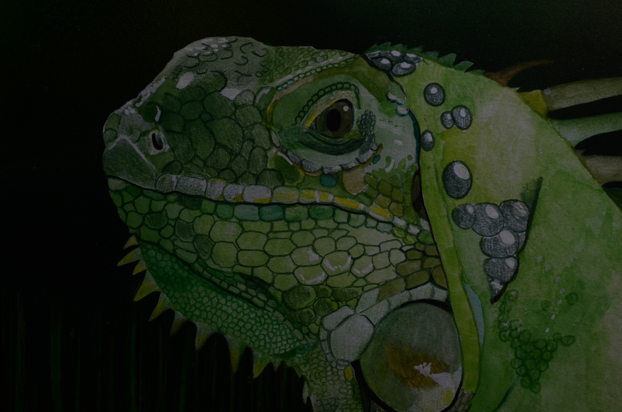 560903888_4277331379218627_2440332718358211729_n