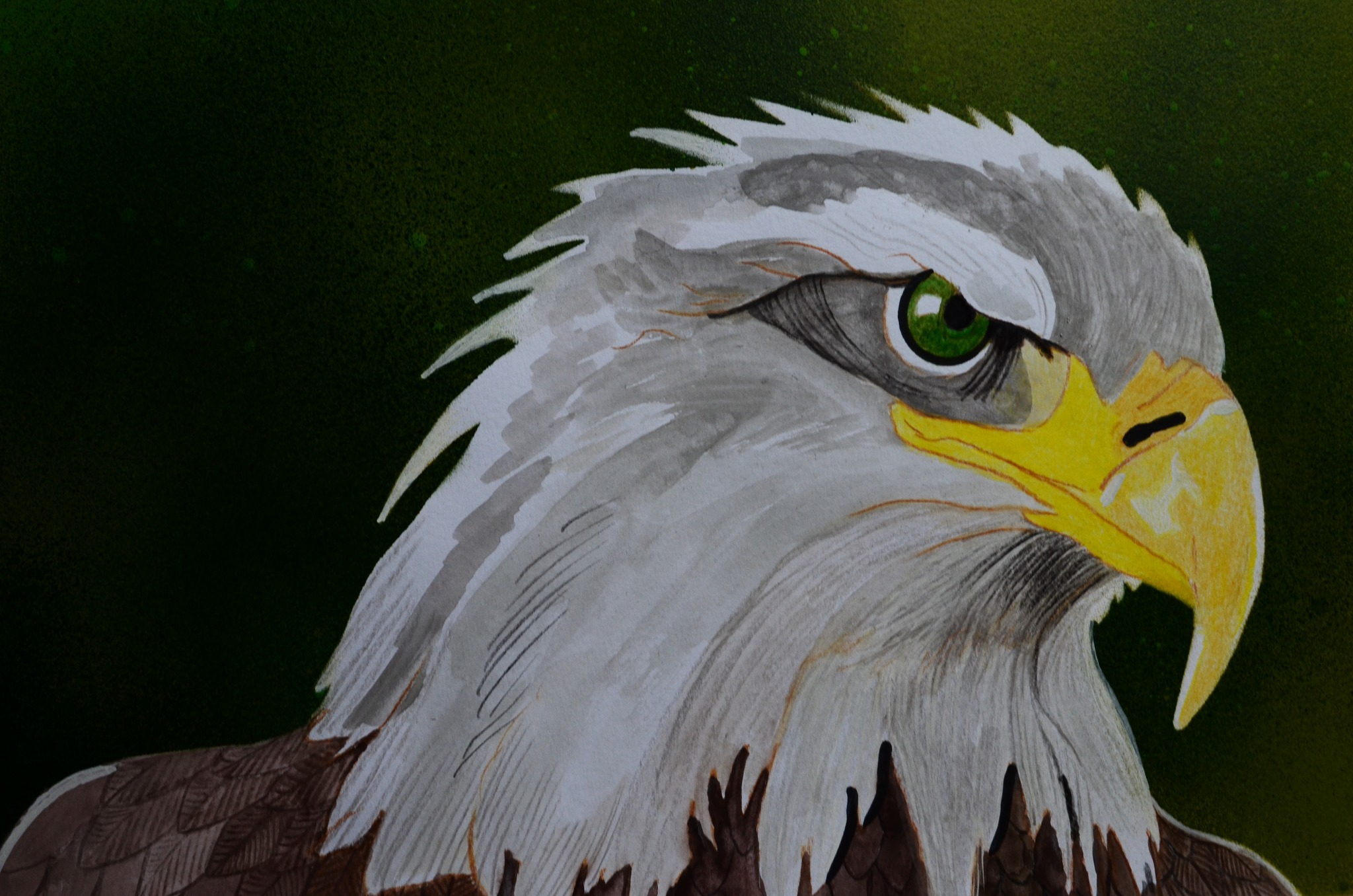 560265371_4277331399218625_5229499050983146954_n