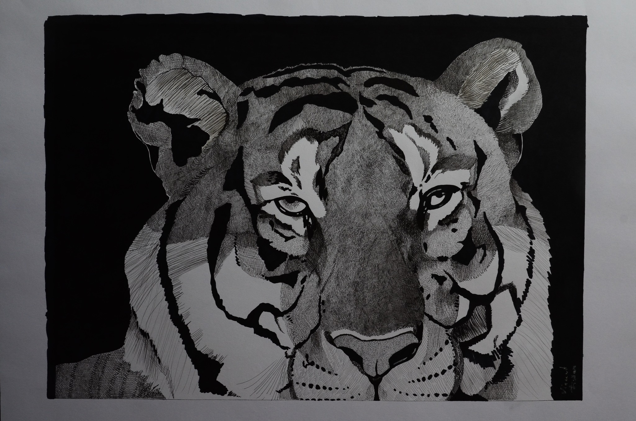 559036915_4297821027169662_5864222669035206087_n