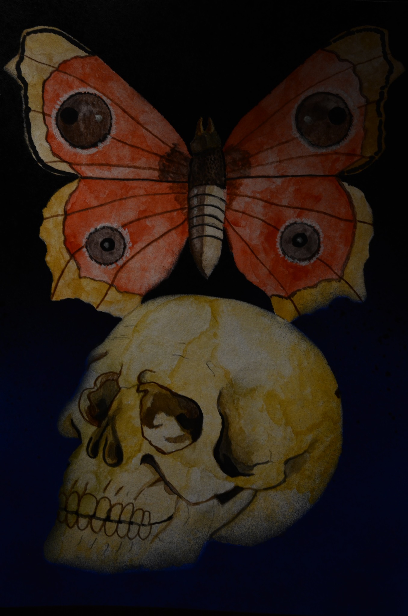 577666092_4298297060455392_3309323863725114623_n