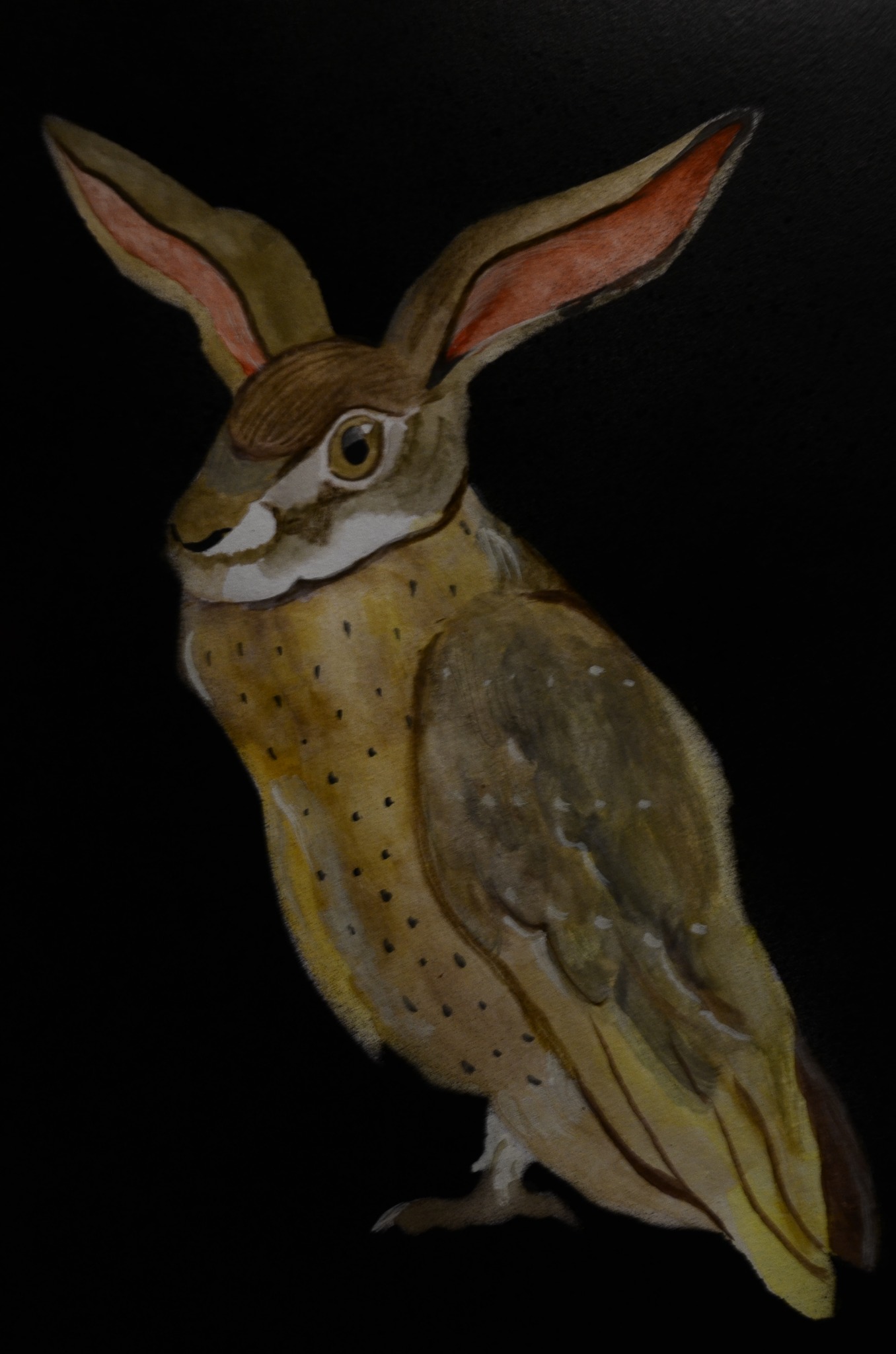 585101155_4312451349039963_8216698609009532520_n